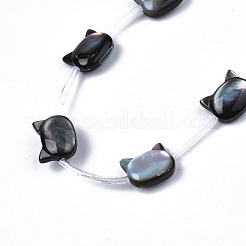天然ブラックリップシェルビーズ連売り  猫  8x10x3~4mm  穴：0.5~0.6mm  約20個/連  16.30インチ〜17.52インチ（41.4cm〜44.5cm）&nbsp;SSHEL-S278-124B