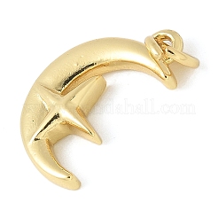 Brass Pendants&nbsp;KK-K298-11G