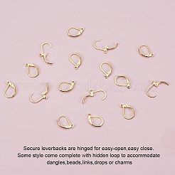 304 Stainless Steel Leverback Earring Findings&nbsp;STAS-PH0018-28G