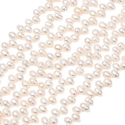 Natural Cultured Freshwater Pearl Beads Strands&nbsp;PA-CBABE82-03A