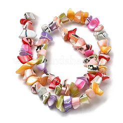 天然トロチッドシェル/トロカスシェルビーズ連売り  染め  ナゲット  ミックスカラー  5~22x7~15x3~8mm  穴：1.2mm  約65~70個/連  14.69~15.35''（37.3~39センチメートル）&nbsp;SHEL-B003-02L