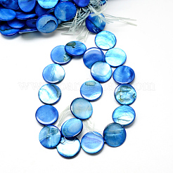 Natural Shell Beads Strands&nbsp;SHS054-017