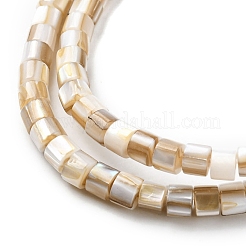 Natural Freshwater Shell Beads Strands&nbsp;SHEL-R129-05