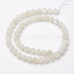 Natural White Moonstone Bead Strands&nbsp;G-P213-20-6mm