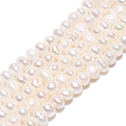 天然養殖淡水パール ビーズ 連  フラットラウンド  乳白色  3~6.5x3~6.5x2~5mm  穴：0.6mm  約98~108個/連  13.78~14.17インチ（35~36cm）&nbsp;PEAR-N015-04C-02A