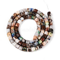 Natural Chrysocolla and Lapis Lazuli Beads Strands&nbsp;G-T141-99A