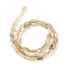 天然淡水シェルビーズ連売り  ライス  ゴールデンロッド  7.5~8x4mm  穴：0.5mm  約51個/連  15.55インチ（39.5cm）&nbsp;X-BSHE-G036-03