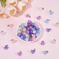 80Pcs 5 Colors Transparent Acrylic Pendants&nbsp;OACR-BM0001-05