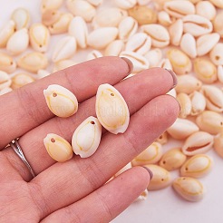 Natural Cowrie Shell Beads&nbsp;BSHE-PH0001-06