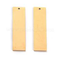 304 Stainless Steel Pendants&nbsp;STAS-F267-16G