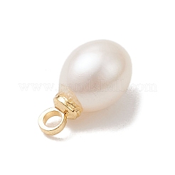 天然淡水真珠ライスチャーム  真鍮パーツ  ゴールドカラー  乳白色  10.5~11x6.5mm  穴：1.6mm&nbsp;PALLOY-JF04858-01