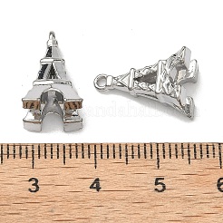 304 Stainless Steel Pendants&nbsp;STAS-I367-08G