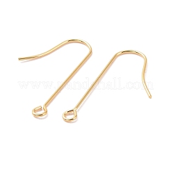 316 Surgical Stainless Steel Earring Hooks&nbsp;STAS-E027-02B-G