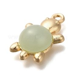 Acrylic Alloy Pendants&nbsp;LS-FIND-M041-03B