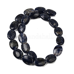天然石ソーダライトビーズ連売り  フラットオーバル  18x13x5.5mm  穴：0.7mm  約22~23個/連  16.61''（42.2センチメートル）&nbsp;GG-CBA0487-C01-18x13mm