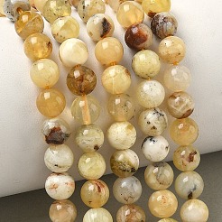 Natural Yellow Opal Beads Strands&nbsp;G-I213-18-6mm