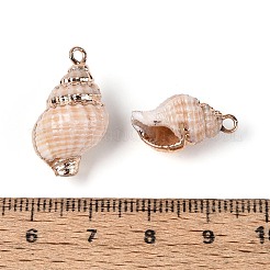 Electroplated Natural Shell Pendants&nbsp;BSHE-T015-09