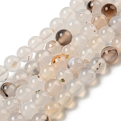 Natural Dendritic Agate Beads Strands&nbsp;G-A232-A01-02