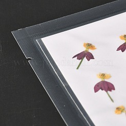 Blood-flower Milkweed Pressed Dried Flowers&nbsp;DIY-K032-59