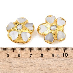 天然真珠と白い貝殻のビーズ  真鍮パーツ  花  フローラルホワイト  ゴールドカラー  24.5~26x22~24x13~14mm  穴：0.8~1mm&nbsp;KK-H516-10G