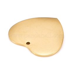 304 Stainless Steel Pendants&nbsp;LS-STAS-L238-099B-G