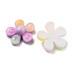 半透明樹脂デコデンカボション  虹色の5枚の花びらの花  ミックスカラー  21.5x21x7.5mm&nbsp;RESI-B027-02
