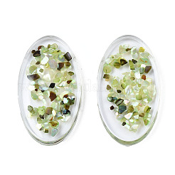Transparent Acrylic Cabochons&nbsp;TACR-N006-66B