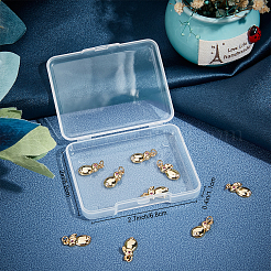 Brass Micro Pave Cubic Zirconia Pendants&nbsp;KK-BBC0003-97