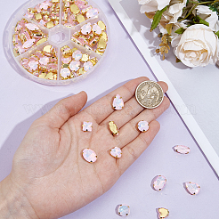 106pcs 6 Style Sew On Rhinestone&nbsp;FIND-OC0004-09C