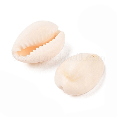 Cowrie Shell Pendants&nbsp;X-PTS057Y-1