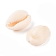 Cowrie Shell Pendants&nbsp;X-PTS057Y-2