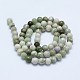 Natural Peace Jade Beads Strands&nbsp;G-I206-20-6mm-2