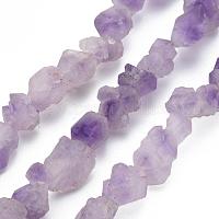 生の荒い天然アメジストビーズ連売り  ナゲット  4~21x4~16x4~16mm  穴：1.2mm  約30~53個/連  14.57~15.55インチ（37~39.5cm）&nbsp;G-N0326-028