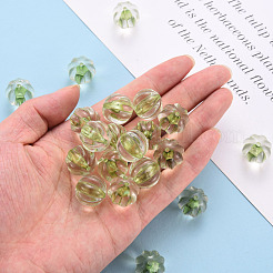 Transparent Acrylic Beads&nbsp;TACR-S154-19A-83