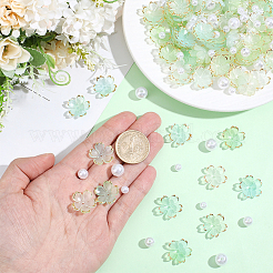 120Pcs Acrylic Bead Caps&nbsp;OACR-PA0002-13C