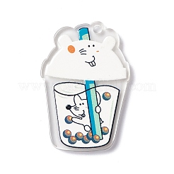 Transparent Printed Acrylic Pendants&nbsp;TACR-G042-01B