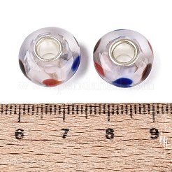 Handmade Lampwork & Brass Core European Beads&nbsp;LAMP-N044-04S-01