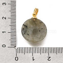 天然石ラブラドライトペンダント  真鍮の太陽が付いたフラットラウンドいチャーム  ゴールドカラー  20x16x7mm  穴：6.5x3.5mm&nbsp;G-T151-01B