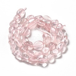 Natural Rose Quartz Beads Strands&nbsp;G-P138-12