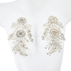 Polyester with Glass Rhinestone Sewing Decorate&nbsp;DIY-WH20032-138A