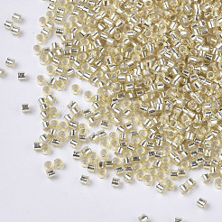 FGB 11/0 Grade A Glass Seed Beads&nbsp;SEED-S030-42L