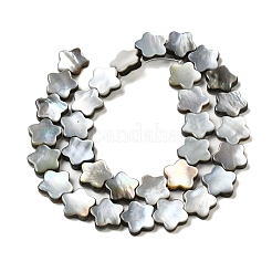 天然ブラックリップシェルビーズ連売り  スモモの花  花  12x12x3mm  穴：1mm  約33個/連  14.57''（37センチメートル）&nbsp;SHEL-M021-02A