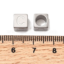 304 Stainless Steel European Beads&nbsp;STAS-D382-02C-P