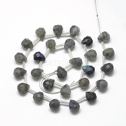 天然石ラブラドライトビーズ連売り  多面カットティアドロップ  13~14x10~11mm  穴：1mm  約28個/連  15.7インチ&nbsp;G-R435-15G