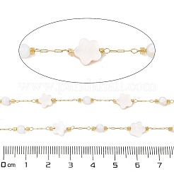 イオンプレーティング(IP) 304 ステンレススチール ペーパークリップチェーン  ハンダ付け  シェルビーズ付き  花  18KGP本金メッキ  6.5x6.5x3mm  約16.40フィート（5m）/ロール&nbsp;CHS-P018-07G