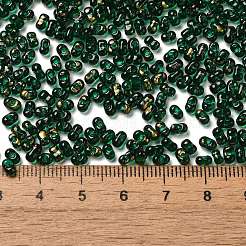 塗装ガラスシードビーズスプレー  ピーナッツ  濃い緑  4~5x2~2.5x2~2.5mm  穴：0.8~0.9mm  約8500個/ポンド&nbsp;SEED-F005-10A-02