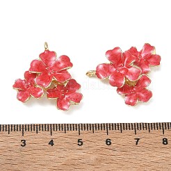 Alloy with Enamel Pendants&nbsp;AL-CBAE84A-05G-02