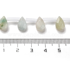 Natural Flower Amazonite Beads Strands&nbsp;G-Q167-A10-02