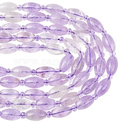 Natural Amethyst Beads Strands&nbsp;G-G453-C01-8x13mm