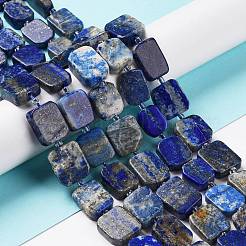 Natural Lapis Lazuli Beads Strands&nbsp;G-Z043-A07-01